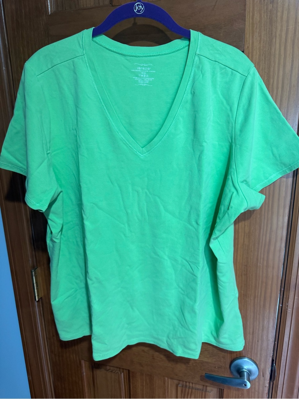 Venezia Women’s V-Neck Short Sleeve Top - Green